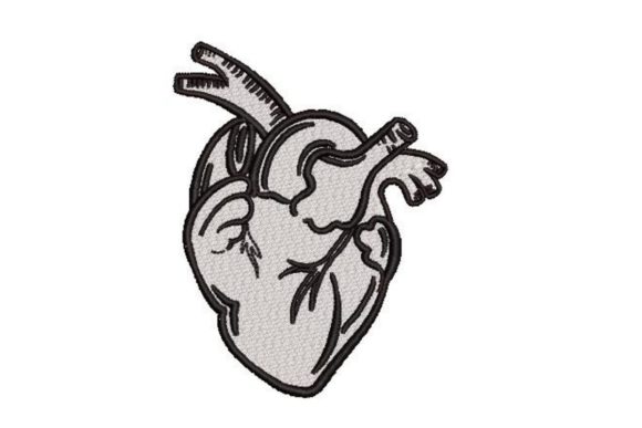 Human Heart Line Art Review